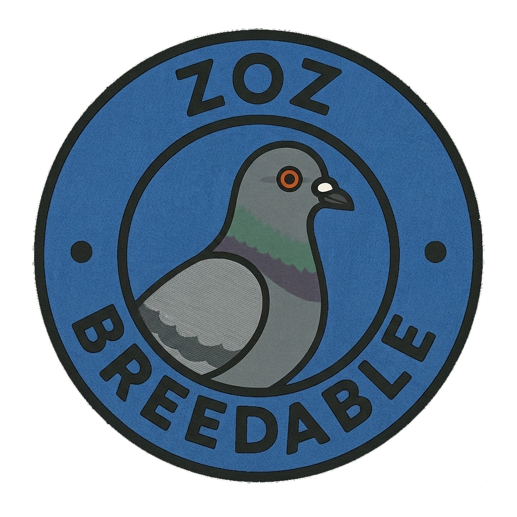 pigeon